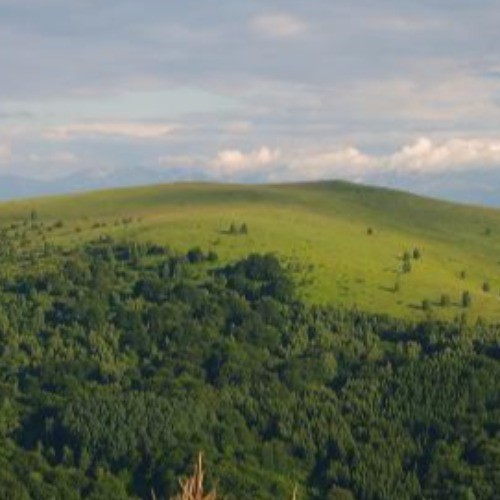 Шато Калчеви