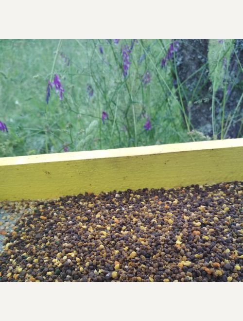Биологичен пчелен прашец - многоцветен