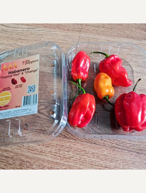 Люти чушки Habanero