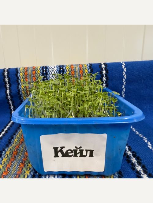 Микрорастения от Кейл