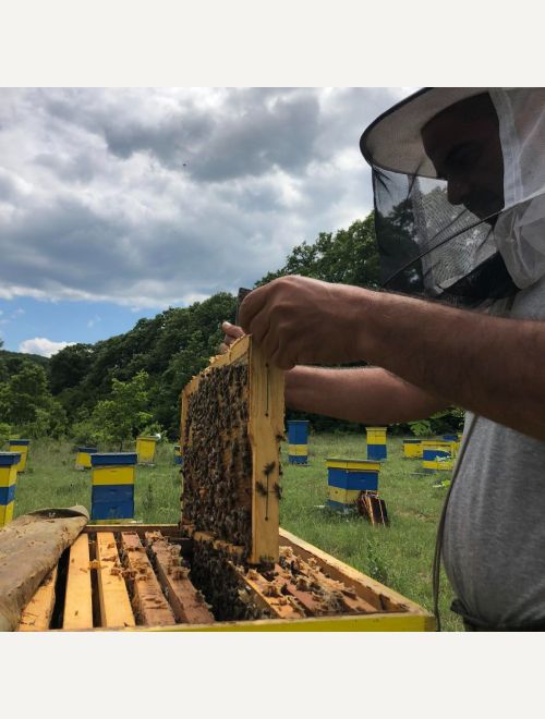 Пчелен мед горски билки и мана от дъб, 500 г