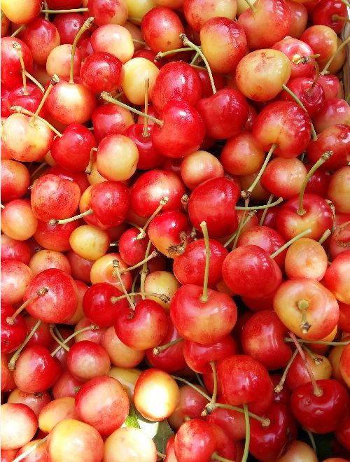 Череши, розови