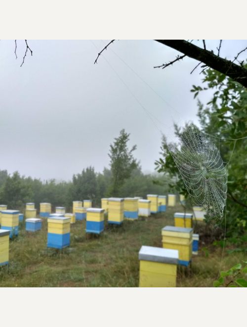 Биологичен пчелен мед Планински от Сакар