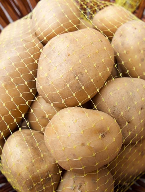 Жълти родопски картофи, сорт Агрия