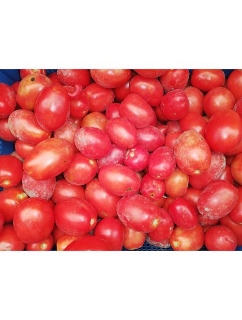 Червени домати, консервен сорт Рома