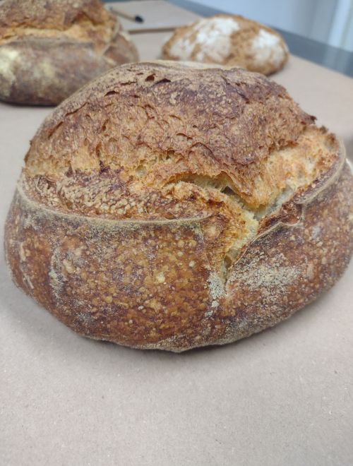 Пшеничено-ръжен хляб с дива мая