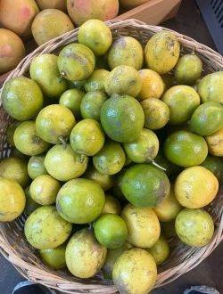 Лимони, био