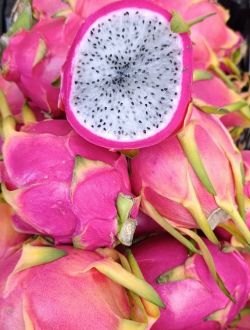 Драконов плод