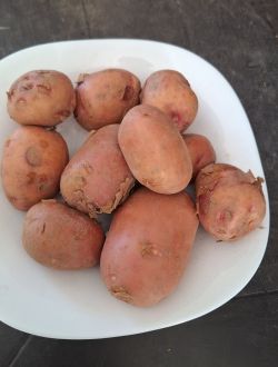 Картофи, червени