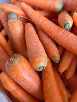 Моркови, сорт Нанси
