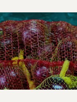 Лук червен, салатен