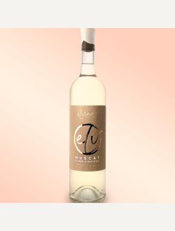 Мускат Отонел и Ркацители 2024